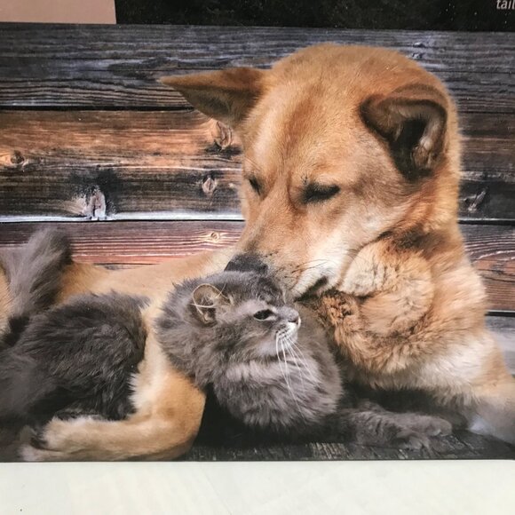 Pet Pals 300-Piece Jigsaw Puzzle With Cute Dog & Cat Image Sealed Durable Fit - Picture 2 of 5